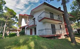 Villa Flamicia
